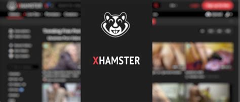 xhamster downloader|Xhamster doesnt show or play videos on a laptop : r/techsupport